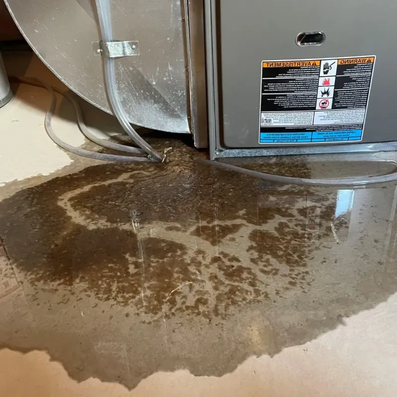Pipe Burst and Leak Restoration in West Mifflin, PA